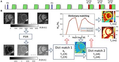 Clinical evaluation of the Multimapping technique for simultaneous myocardial T1 and T2 mapping